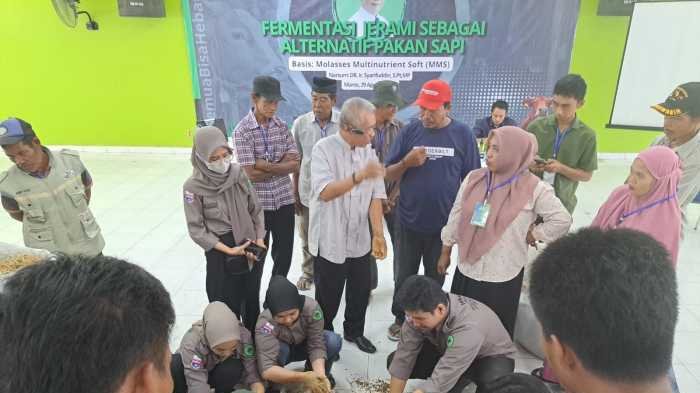 Bosowa Semen Beri Pelatihan Fermentasi Jerami Sebagai Alternatif Pakan Sapi 