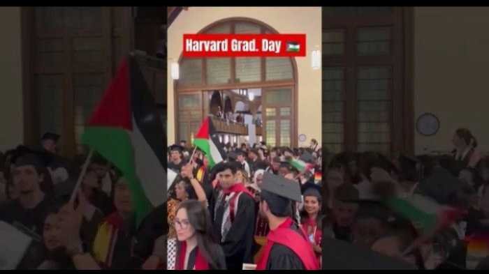 Bendera Palestina Berkibar di Wisuda Harvard, Donald Trump Bereaksi Keras