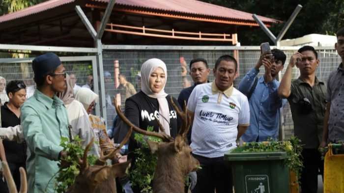 Wagub Sulsel Fatmawati Rusdi Kunjungi PT Vale, Dorong Industri Hijau Sebagai Landasan Pertumbuhan Berkelanjutan di Sulawesi Selatan