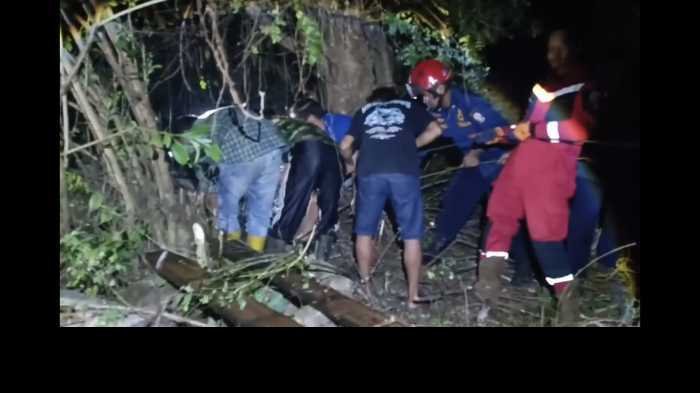 Sapi Kurban Seberat 400 Kg Jatuh ke Kolam Sedalam 2 Meter, Damkar Makassar Butuh 30 Menit untuk Evakuasi
