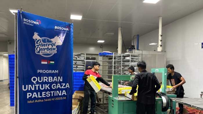 Bosowa Peduli Kirim Daging Kurban 10 Ekor Sapi ke Palestina, Begini Prosesnya