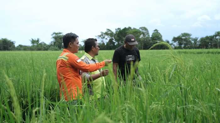 PT Vale Implementasikan Livelihood Restoration Program untuk Dukung Transformasi Ekonomi Berkelanjutan di Pomalaa