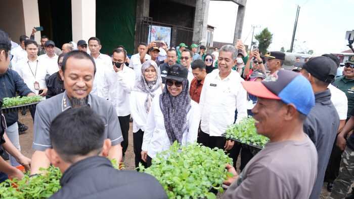 Penangkar Benih di Gowa Terima 175 Ribu Benih Kentang dari Pemprov Sulsel 
