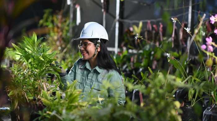 PT Vale Indonesia Tunjukkan Kinerja Operasional Positif, Target Produksi 2025 Naik