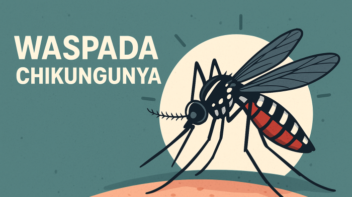 Waspada Chikungunya Melonjak di Musim Penghujan Sperti di Singapura, Ini Gejala hingga Pencegahan