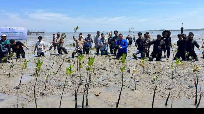 Pelindo Regional 4 Makassar Gandeng HMI Sulsel Tanam Mangrove untuk Jaga Pesisir