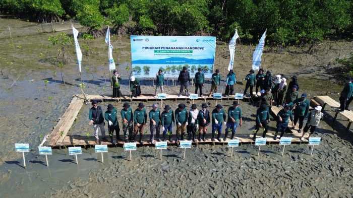 Pelindo Regional 4 Kick Off Rehabilitasi Mangrove di Bone
