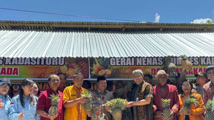 Petani Nanas Mamasa Didorong Berkembang Lewat Literasi Keuangan