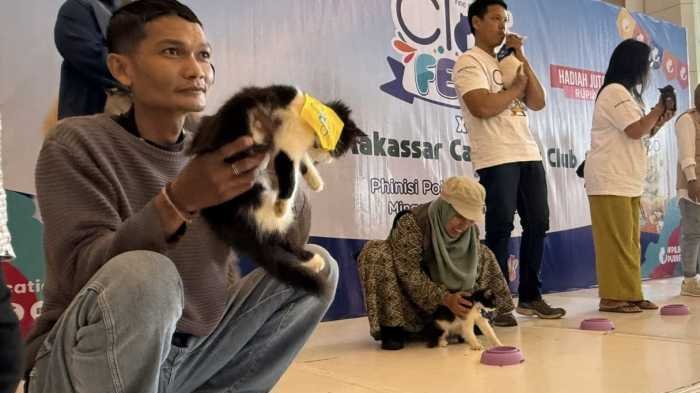 	Ratusan Kucing Lucu Adu Gaya di Pipo Makassar, Bikin Pengunjung Gemas
