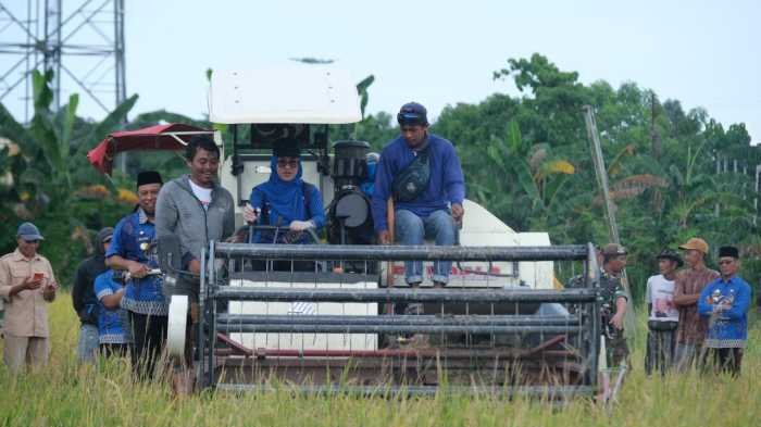 Panen Raya, Gowa Bidik Jadi Lumbung Pangan Mandiri Sulsel 