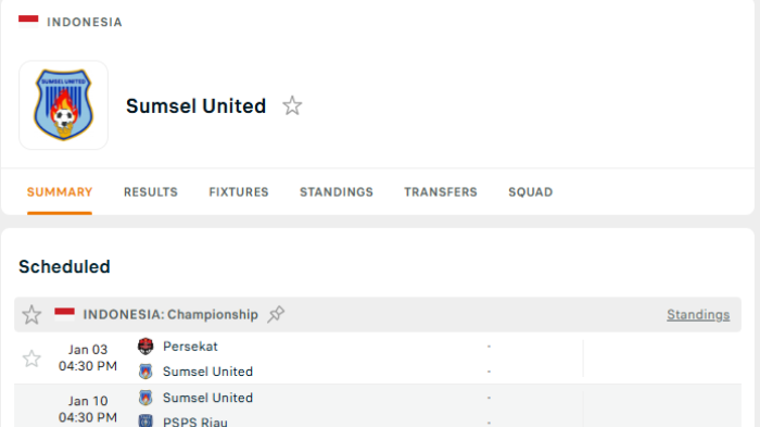 Sumsel United Tatap Januari Krusial, Lima Laga Penentu di Championship 2025/2026