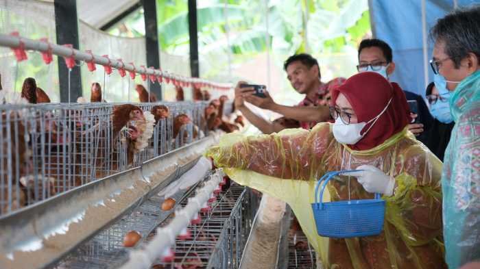 Peringati Hari Desa Nasional 2026, Bupati Gowa Dorong Desa Mandiri dan Digital 