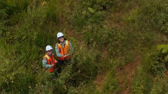 RKAB 2026 Disetujui ESDM, PT Vale Pastikan Operasional Tambang dan Investasi Berlanjut