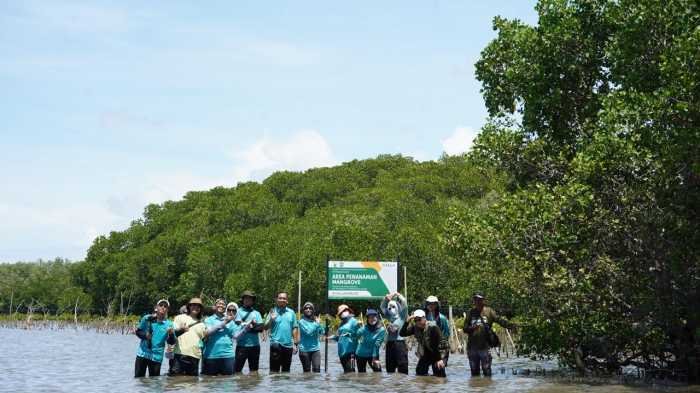 Kantongi SK Bupati Pangkep, Program CSR Aksi Mangrove Lestari KALLA Resmi Ditetapkan sebagai Kawasan Konservasi