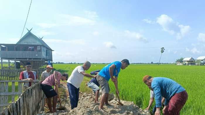 PT Semen Tonasa Bangun Jalan 350 Meter di Desa Bulu Cindea, Topang Akses Pertanian di Tengah Efisiensi Dana Desa 2026