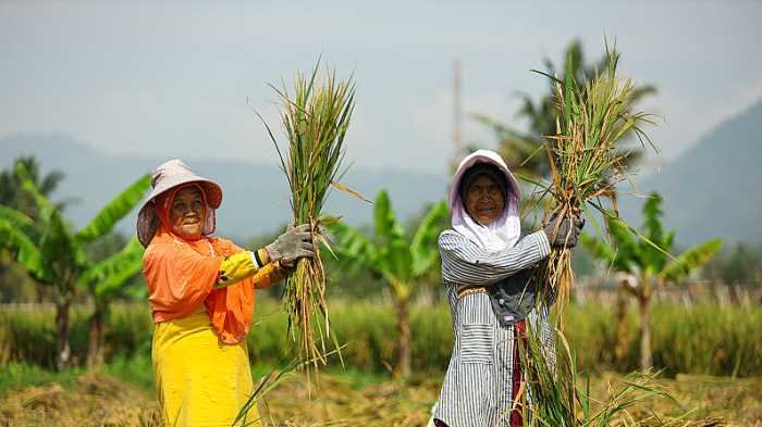 Satu Tahun Prabowo-Gibran, Pupuk Indonesia Perkuat Distribusi Subsidi untuk Dukung Swasembada Pangan