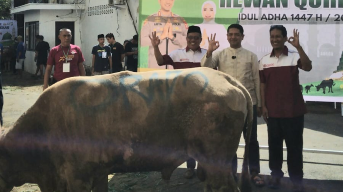 Bersyukur Jadi Anggota KONI, Orado Sulsel Kurban Sapi di Polrestabes Makassar