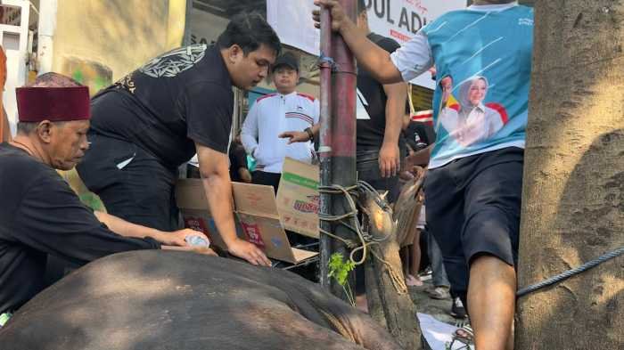 Ketua PSI Sulsel Muammar Gandi Rusdi Turun Langsung Salurkan Daging Kurban Iduladha 1447 H di Makassar, Gowa, dan Jeneponto