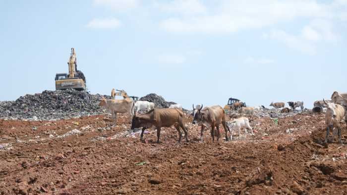 Wali Kota Makassar Targetkan TPA Antang Beralih ke Sanitary Landfill, Progres Pembenahan Capai 40 Persen