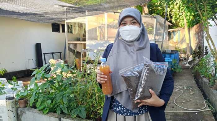 Kasgot Bekas Budidaya Maggot Diolah Jadi Pupuk Organik, Cara Bosowa Peduli Dukung Urban Farming