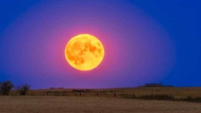 Fenomena Buck Moon Oranye Hiasi Langit, Tandai Awal Musim Gerhana Agustus