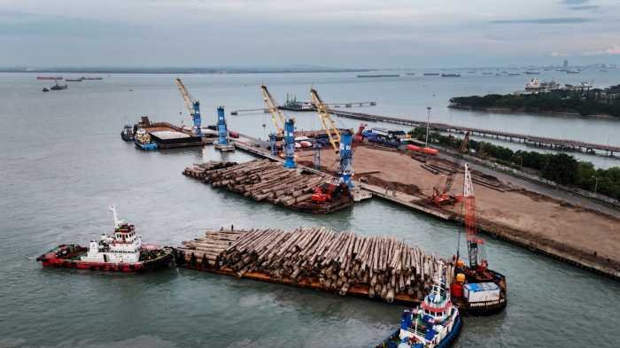 Pelindo Multi Terminal Catat Arus Barang 59,59 Juta Ton pada Semester I 2026