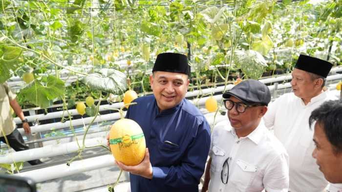 Dari Melon, Anggur, hingga Pupuk Organik, Urban Farming Masjid Bin Baz Disiapkan Jadi Percontohan
