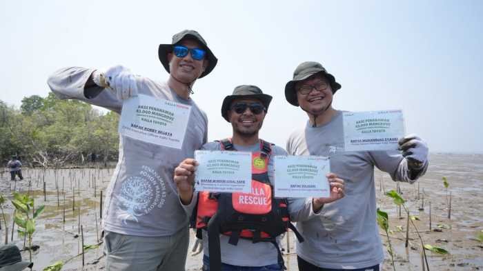 Kalla Toyota Tanam 43 Ribu Mangrove di Pangkep, Perkuat Pesisir dari Ancaman Abrasi