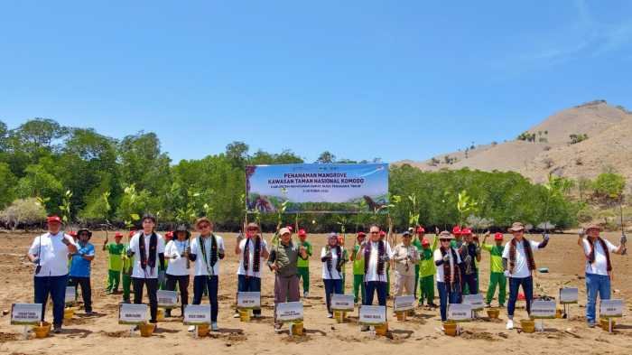 Yayasan AHM Tanam 10.000 Mangrove di Taman Nasional Komodo