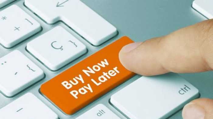 Wow! Rekening Paylater di Indonesia Capai 34 Juta, Nilai Capai Rp31 T